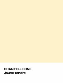 Chantelle ONE LACE Bügelloser BH -Outlet CHANTELLE Store C18L80 0PR 17