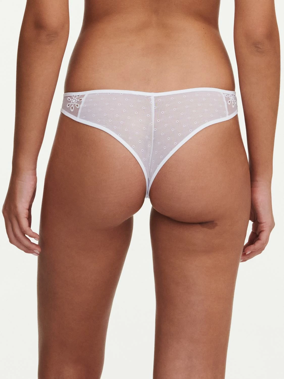 Passionata PRISCA Tanga 4 Passionata PRISCA Tanga – Bild 2