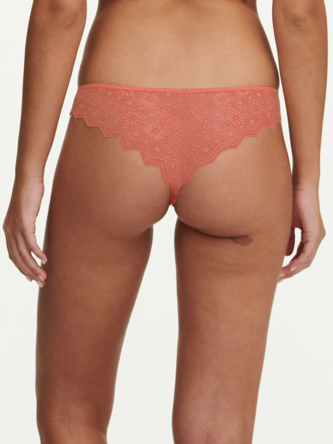 Passionata Georgia Tanga 4 Passionata Georgia Tanga – Bild 2