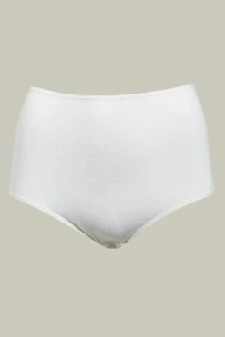 Femilet Comfy Juliana Taillenslip -Outlet CHANTELLE Store femilet juliana maxi brief ivory fn1540 035 5.jpg